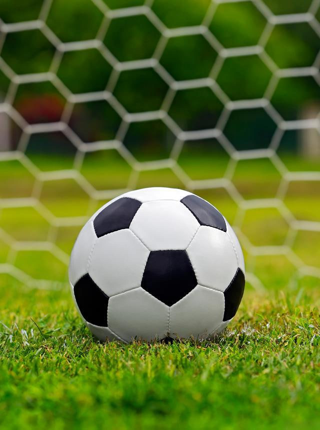 雷速体育直播app下载指南